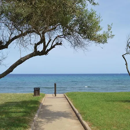 In With Wifi Prunete