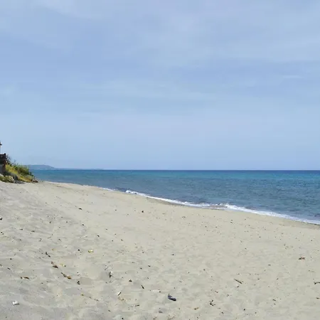 In With Wifi Prunete