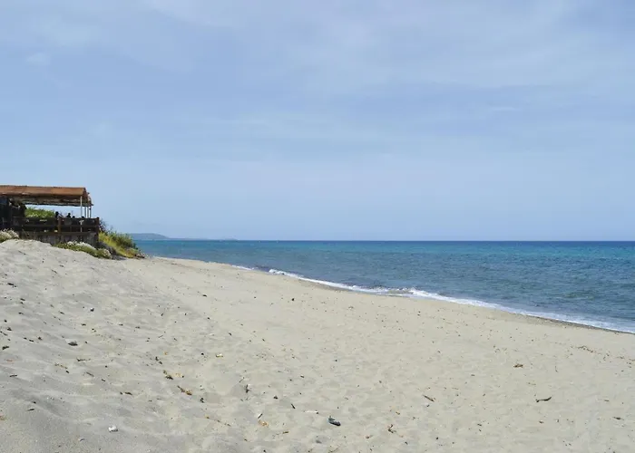 In With Wifi Prunete