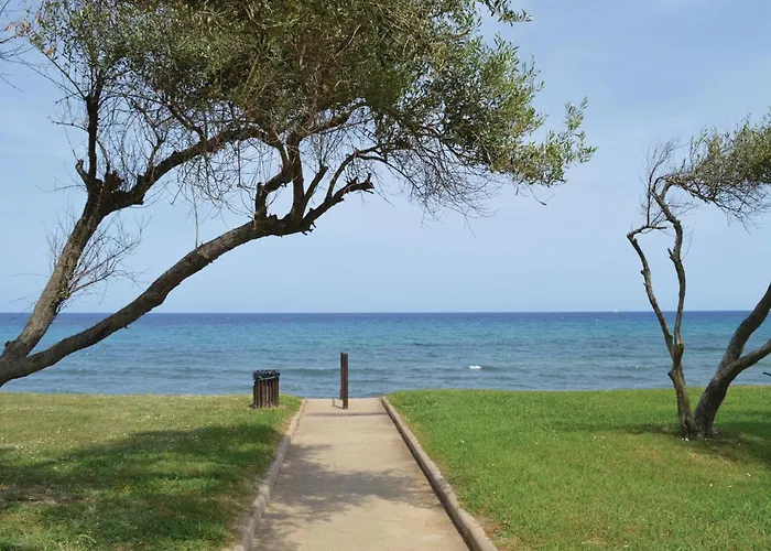 In With Wifi Prunete